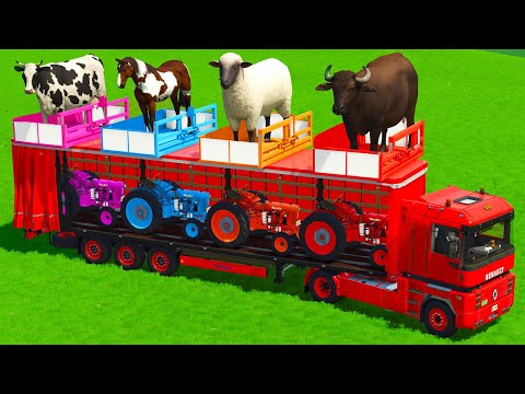 TRANSPORT WITH COLORS - BUFFALO, SHEEP, COWS & HORSES WITH MINI ZETOR TRACTORS - FS25