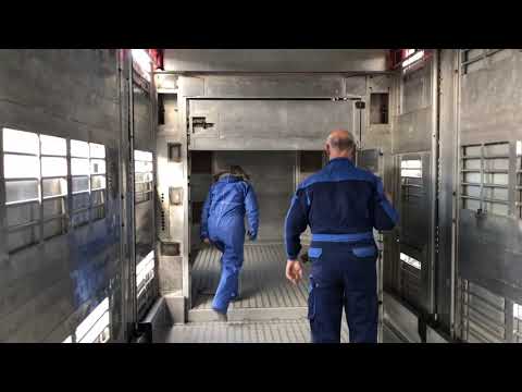 VAEX Племенной КРС 2019