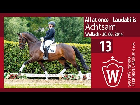 13 Achtsam  Wallach v. All at Once - Laudabilis
