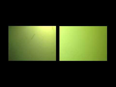 Bubbles (Mr. Sakori & triPhaze)