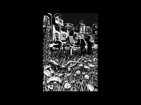 Bambi - Extrait live KSF