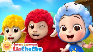 Download lagu Domba Warna-Warni 🐑🌈  | Lagu Anak-anak | Lagu Hewan | Lagu Lucu | LiaChaCha Bahasa Indonesia mp3