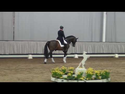 FIRST SELECTION & Martin Stamkötter - Hengstgala Münster-Handorf 06.04.2019