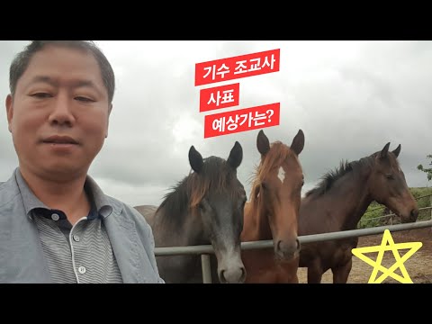 기수 조교사 사표 예상가는?/서영석 허재영 유재필 사표, 오문식 은퇴, 코리안더비 우승한 김영민/경마에 순한 역할