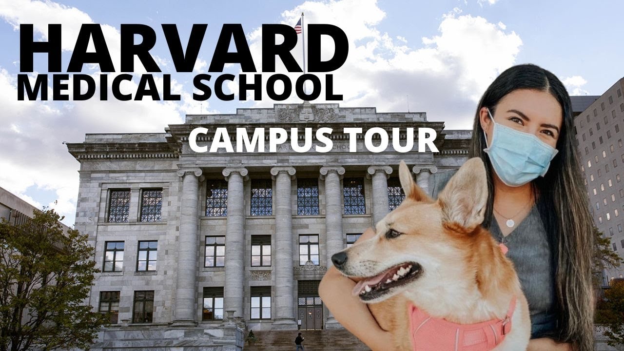 Harvard Medical School Campus Tour for Incoming Medical Students | Walk With Me Virtual Visit 2023