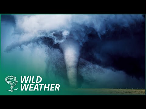 Surviving The Destructive Power Of Tornado's | The Weather Files