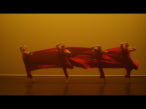 Video thumbnail for The Thief