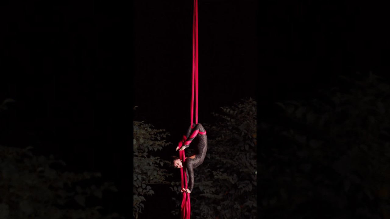 Promotional video thumbnail 1 for Jessica Lynn, Aerial and Performance Art