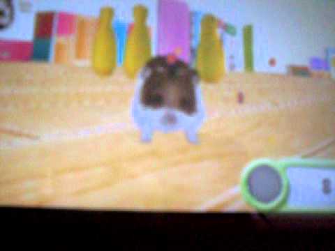 hamsterz life cheats nintendo ds