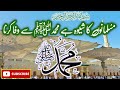 Musalmano Ka Shewa Hai Muhammad ﷺ Se Wafa Karna By Muhammad Imtiaz