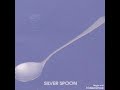 Silver Spoon-Vulgarian
