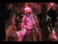 Viva Las Vegas Dance - Champagne Showgirls ...