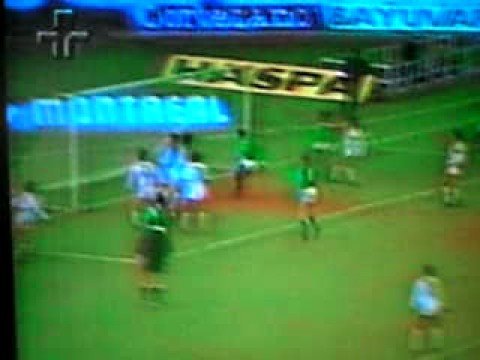 Enéas de Camargo, gol pelo Palmeiras