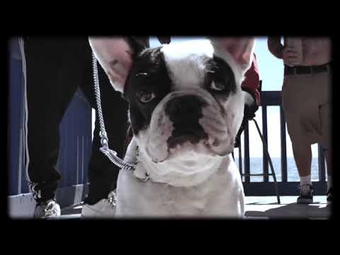 Kool B: This is Adelaide. (Feat Jacob Biviano on drums).