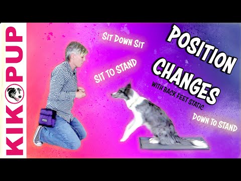 What is Clicker Training