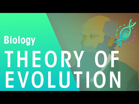 The Theory of Evolution by  Natural Selection | Evolution | Biology | FuseSchool