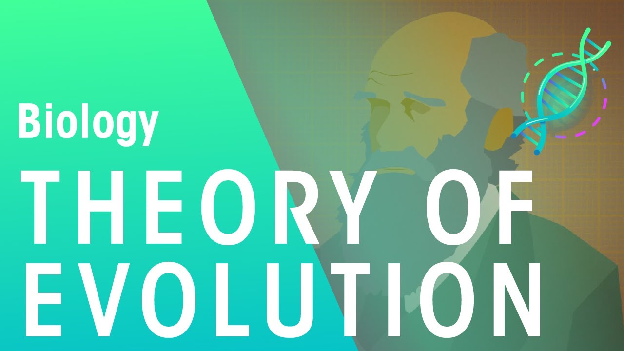 The Theory of Evolution by  Natural Selection | Evolution | Biology | FuseSchool
