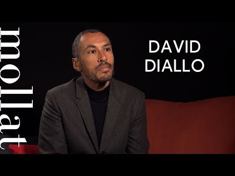 David Diallo - La loi et l'ordre racial