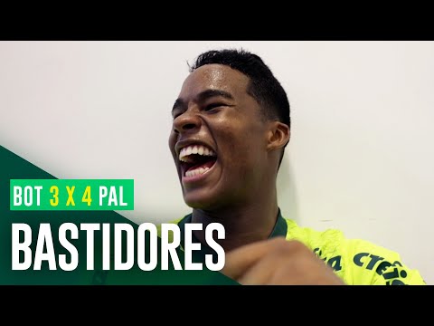 BASTIDORES DA VIRADA ÉPICA | BOTAFOGO 3 X 4 PALMEIRAS | BRASILEIRO 2023