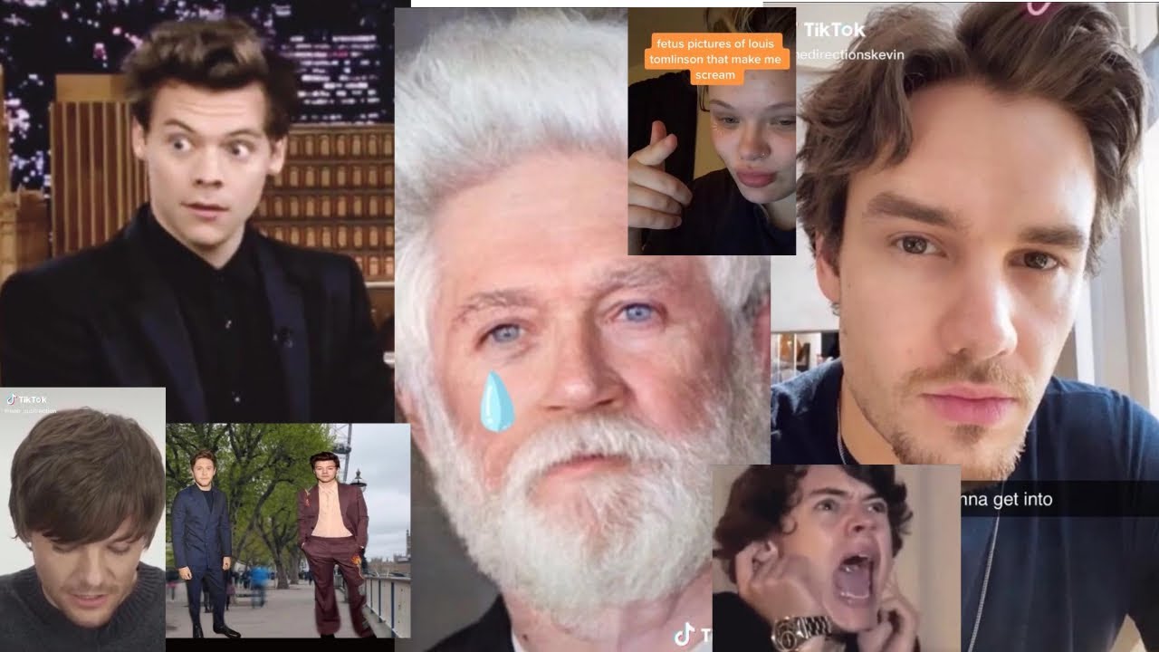 Funny one direction Tik toks for your needs :)