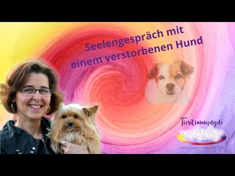 Tierkommunikation – Seelengespräch mit einem verstorbenen Hund 🌈