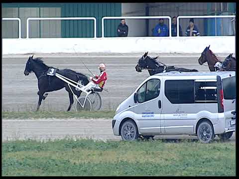 Napoli Trotto 02/12/2022 - 3ª corsa