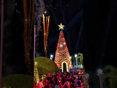 Natal Luz em Macaparana-PE. A mais linda Árvore de Natal da Mata Norte de Pernambuco.