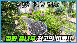 정원 봄꽃나무 꽃 펑펑 터트려주는 최고의 비료!! 5년간 사용해 봤더니??