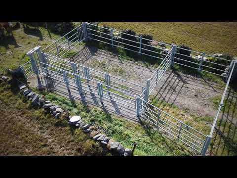 Outside Farm Crush & Penning