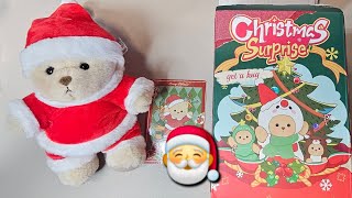 Christmas Surprise Box | Get A Hug Bear