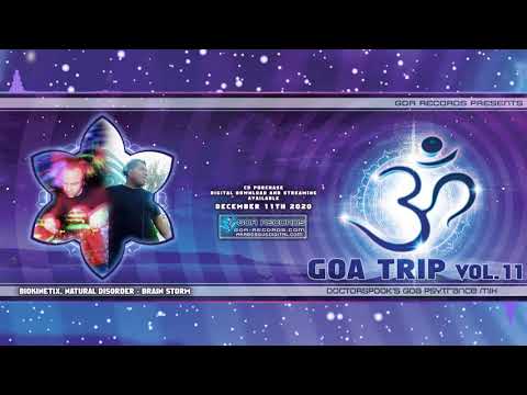 Biokinetix, Natural Disorder - Brain Storm