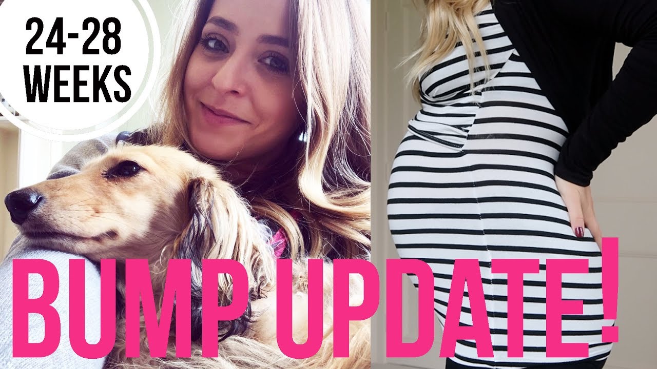 Pregnancy UPDATE! Weeks 24-28