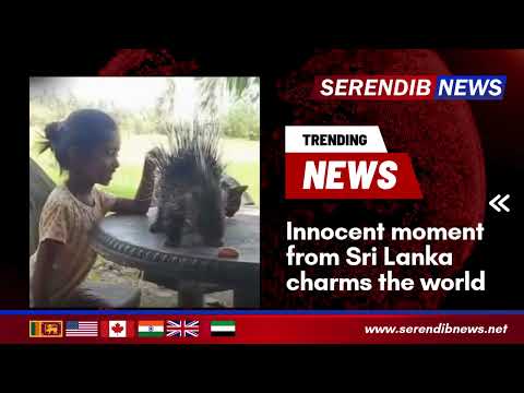 Innocent moment from Sri Lanka charms the world