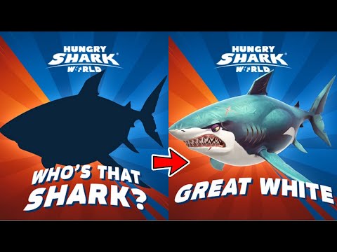 THE ANSWER IS GREAT WHITE SHARK! - Hungry Shark World