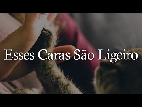 Felipe Araújo Feat Jorgeemateus - Esses Caras São Ligeiro (Letra/Lyrics) | Official Music Video