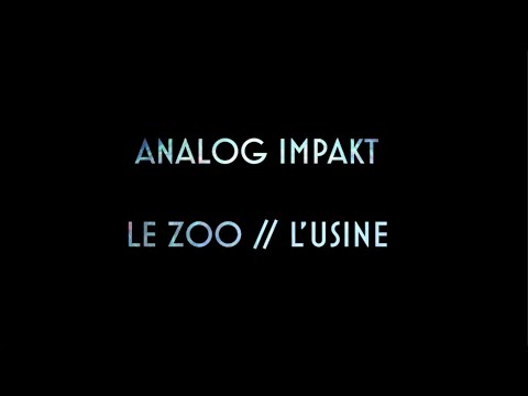 ANALOG IMPAKT - ZOUAWOTEK X MSKT - LE ZOO // L'USINE - CH - Aftermovie
