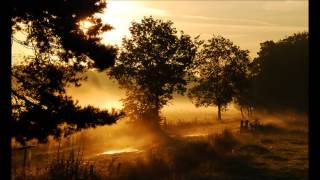 WHITE PLAINS  ( I REMEMBER) SUMMER MORNING