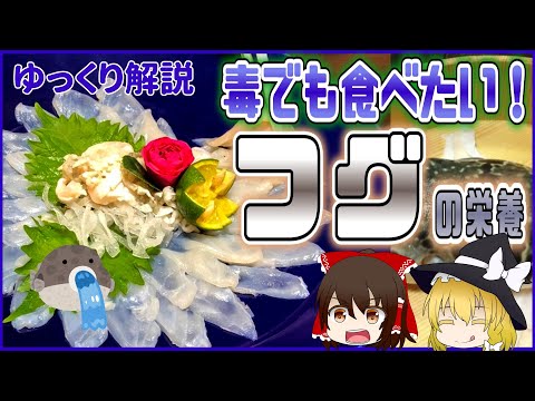 トロカデロ水族館のフグ