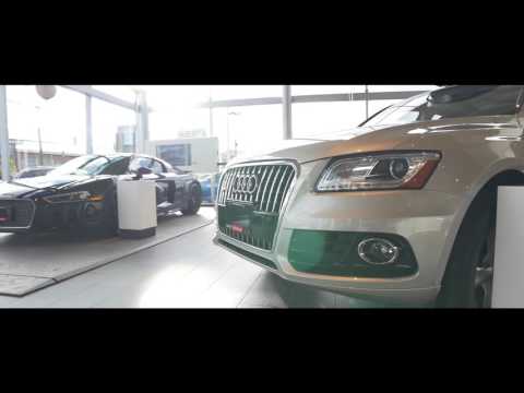 Audi Uptown Fall Private Sales Event 2016