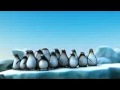 Penguins Sticking Together Flv