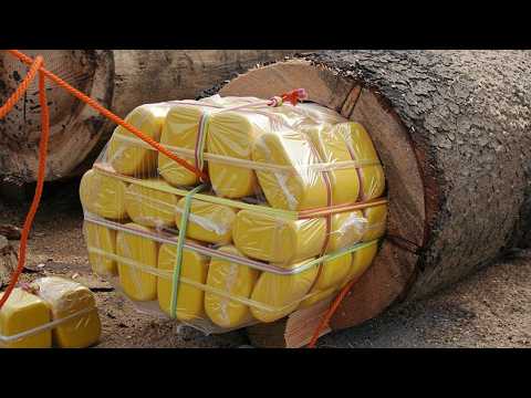 Top 10 Genius Smugglers of All Time!