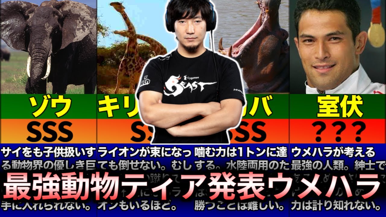 【ウメハラ】大興奮しながら最強動物ティアランキングを作成するウメハラ【ウメハラベストトーク集127】