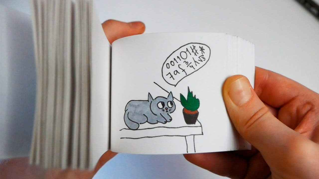 Flipbook Animation - Typical cat