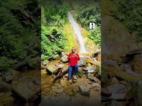 Biodiversidad y sanación: la magia de Piamonte Cauca