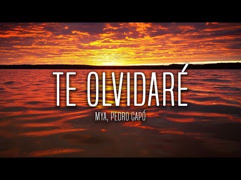 MYA, Pedro Capó - Te Olvidaré (Lyrics / Letra)