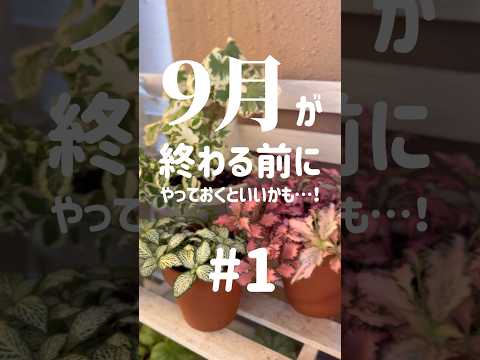 園芸 挿し木に関するよくある質問