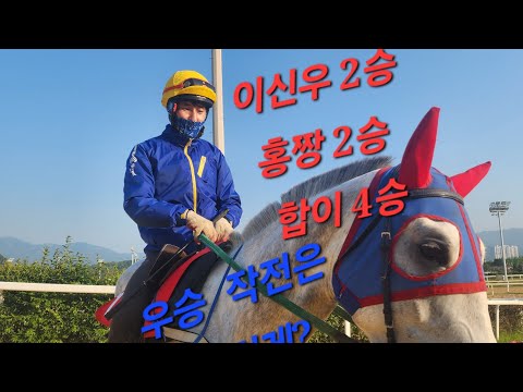 이신우 2승 홍짱 2승 합이 4승/우승 작전은 이렇게?