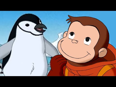 Die verlorenen Pinguine finden | Coco der Neugierige | Cartoons für Kinder
