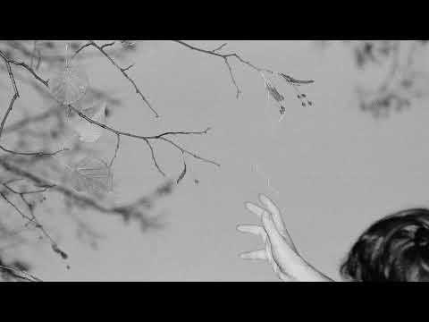 The Doug - poison (visualizer)