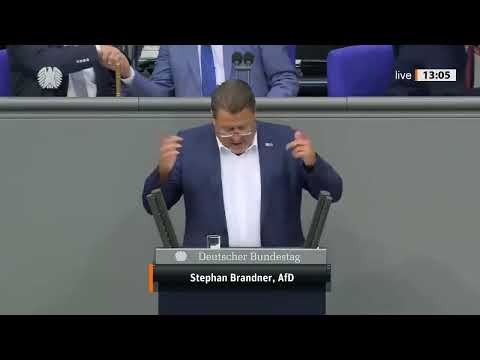 Heated scene in the Bundestag – Stephan Brandner reacts angrily in debate on freedom of expression